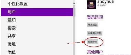 win8ʹPIN¼